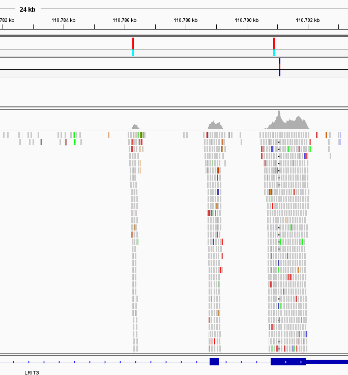 Whole Exome Sequencing at Microsynth Microsynth FR